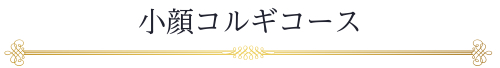 タイトル：小顔コルギコース